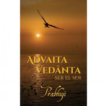 Advaita vedanta.