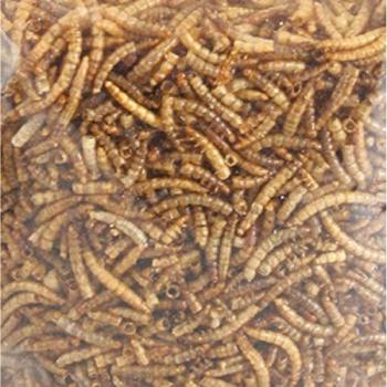 Vers de farine séchés pour petits animaux 540 g