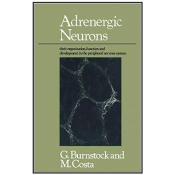 Adrenergic Neurons: Their Organization, Function and Development in the Peripheral Nervous System
