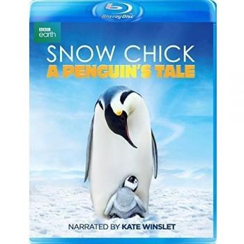 Snow Chick: A Penguin's Tale