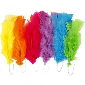 Colorful Feathers, Large, 18 Pieces