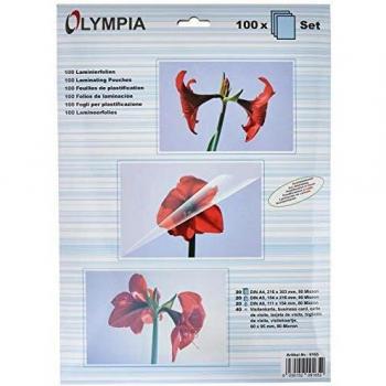 Bulk Laminating Pouch Bundle – 100 Rolls (80 µm)
