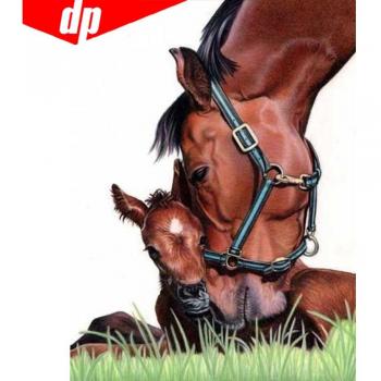 Cheval Brico Strass 5D