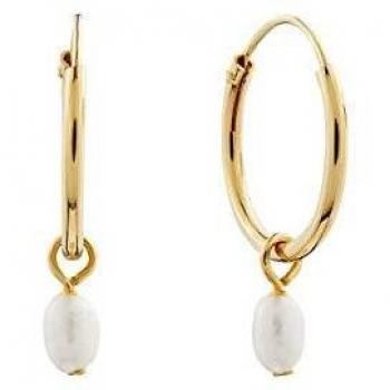 Creoles Luminous Lake de Plata Esterlina 925 con Acabado Dorado