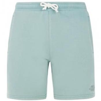 Shorts – Protest Tedor Arctic Green L (Men)