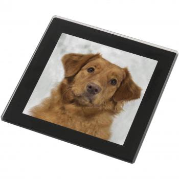 Black Rimmed NSDTG Retriever Coaster