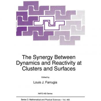 The Synergy Between Dynamics and Reactivity at Clusters and Surfaces, NATO SCIENCE SERIES SERIES C: MATHEMATICAL AND PHYSICAL SCIENCES