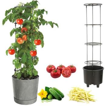 Contenant potage Vigne Tomate Concombre Haricot Ø30 cm, couleur gris béton, extensible