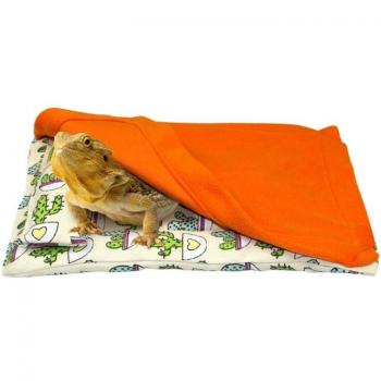 Leopard Gecko Schlafset mit Kaktusdesign