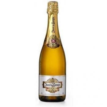Juvé & Camps Milésimé 2018 (750 ml)