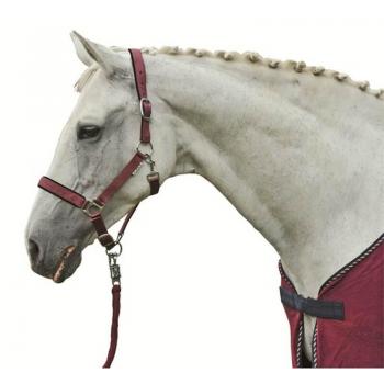 Premium Lilac Star Soft‑Pad Full‑Size Head Collar
