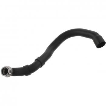 FEBI BILSTEIN 46264 Flessibile di raffreddamento motore