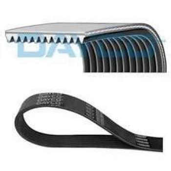Dayco V-Ribbed Belts (12 Pack)