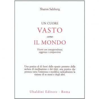 Un cuore vasto come il mondo. Vivere con consapevolezza, saggezza e compassione