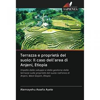 Terrazza e proprietà del suolo: Il caso dell'area di Anjeni, Etiopia: Impatto dello sviluppo e della gestione delle terrazze sulle proprietà del suolo nell'area di Anjeni, West Gojam, Etiopia