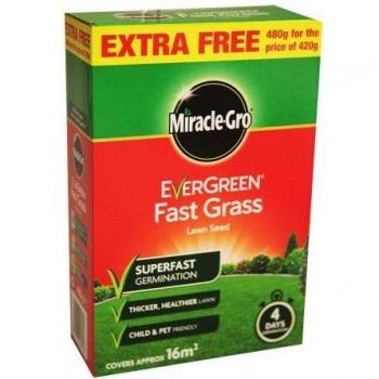 Turbo Turf Grass Seed