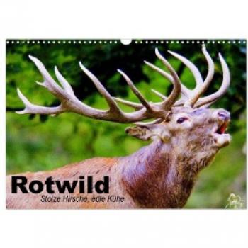 Wandkalender 2024 Rotwild und stolze Kühe