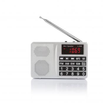 MP3 Player Radio Portatile RF21