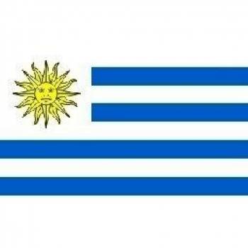 Bandera de Uruguay 152,4 cm x 91,44 cm con ojales