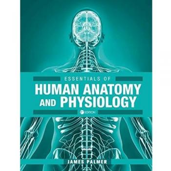 Essentials of Human Anatomy and Physiology
