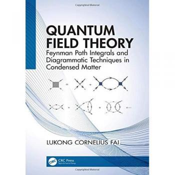 Quantum Field Theory: Feynman Path Integrals and Diagrammatic Techniques in Condensed Matter