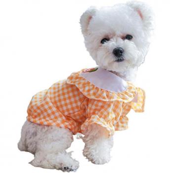 Camiseta de Poliester para Perro
