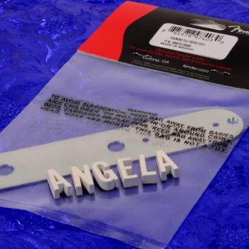 Fender Genuine Road Worn Tele Control Plate