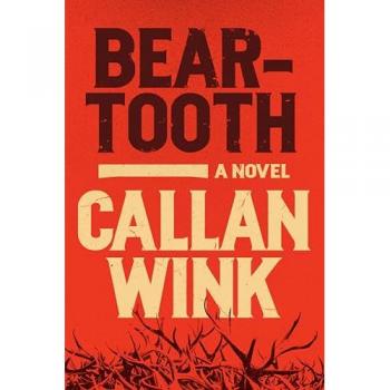 Beartooth, by Callan Wink