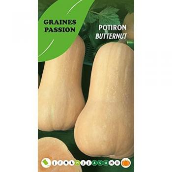 Graines Passion Potiron Butternut