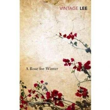 Rose for Winter