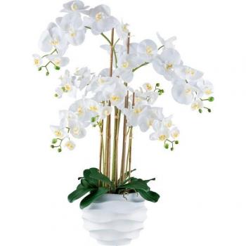 Phalaenopsis Kunstpflanze Creativ Green – 90 cm Höhe, weißer Design‑Topf