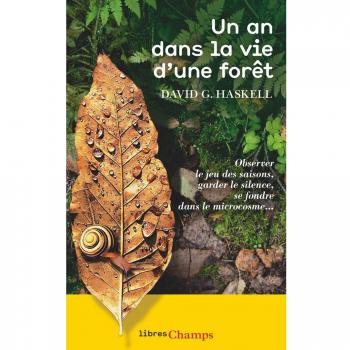 Un an dans la vie d'une forêt