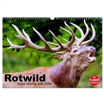 Rotwild. Edle Hirsche, stolze Kühe (Wandkalender 2025 DIN A3 quer)