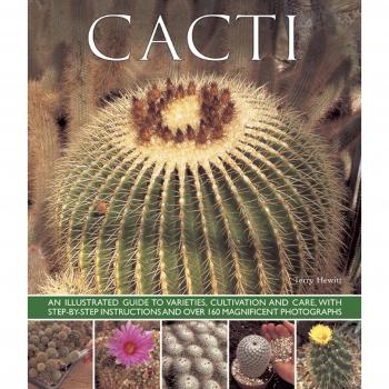 Cacti by Terry Hewitt: New