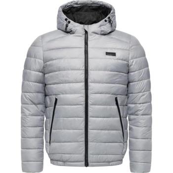 Ragwear Herren Winterjacke Vellos YOUMODO Grau (M)
