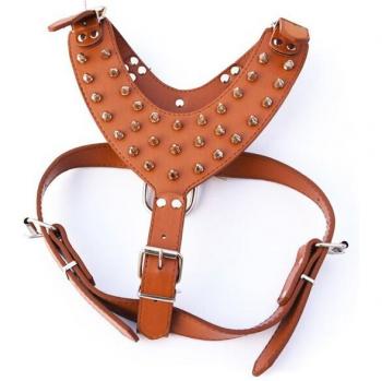 Harnais Durable pour Animaux de Compagnie