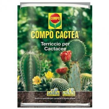 TERRICCIO COMPO SANA CACTACEE 5 LT