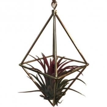 Geometric Iron Air Plant Stand