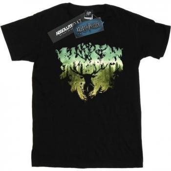 T-shirt Harry Potter Garçon Magical Forest 6-7 ans Noir
