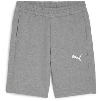 Puma teamGOAL Trainingsshorts Casuals Grau 3XL