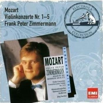 Die großen Violinkonzerte