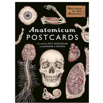 Anatomicum Postcard Box