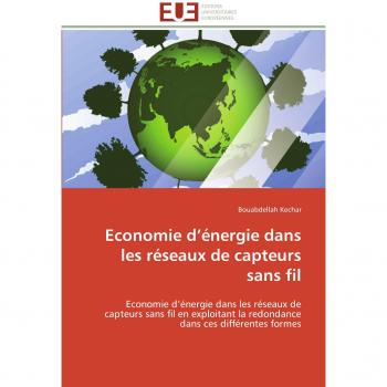 Economie d’énergie dans les réseaux de capteurs sans fil: Economie d’énergie dans les réseaux de capteurs sans fil en exploitant la redondance dans ces différentes formes