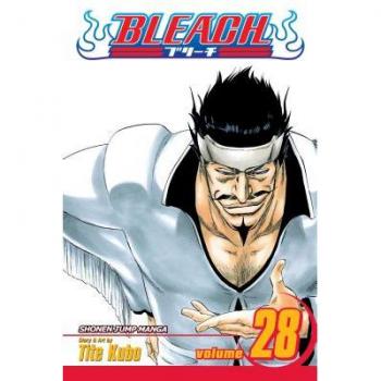 Bleach, Vol. 28 (Paperback)