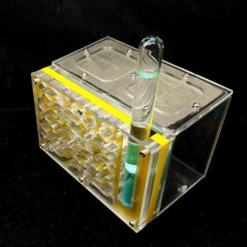 Bionic Acrylic Ant Habitat for High Humidity