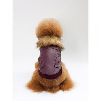 Teddy dog hoodie for small breeds