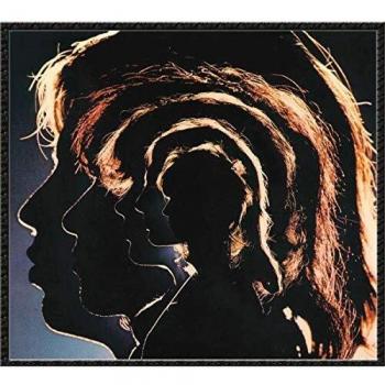 Hot Rocks 1964-1971 [Vinyl LP]