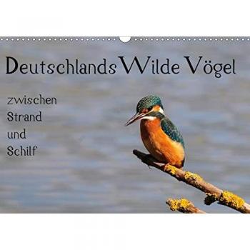 Deutschlands wilde Vögel zwischen Strand und Schilf