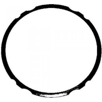 Elring 753.719 O-Ring, cylinder sleeve