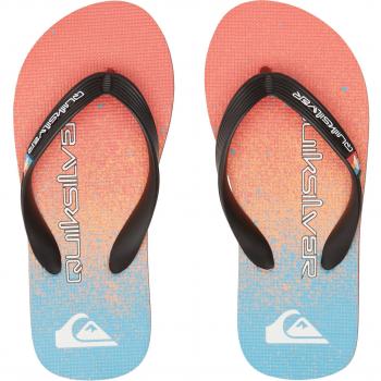 Quiksilver Boys Molokai Art II Flip Flops